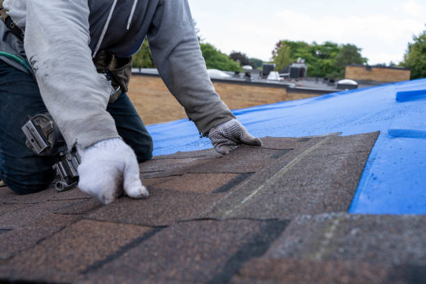 Best Roof Gutter Cleaning  in Palmview, TX